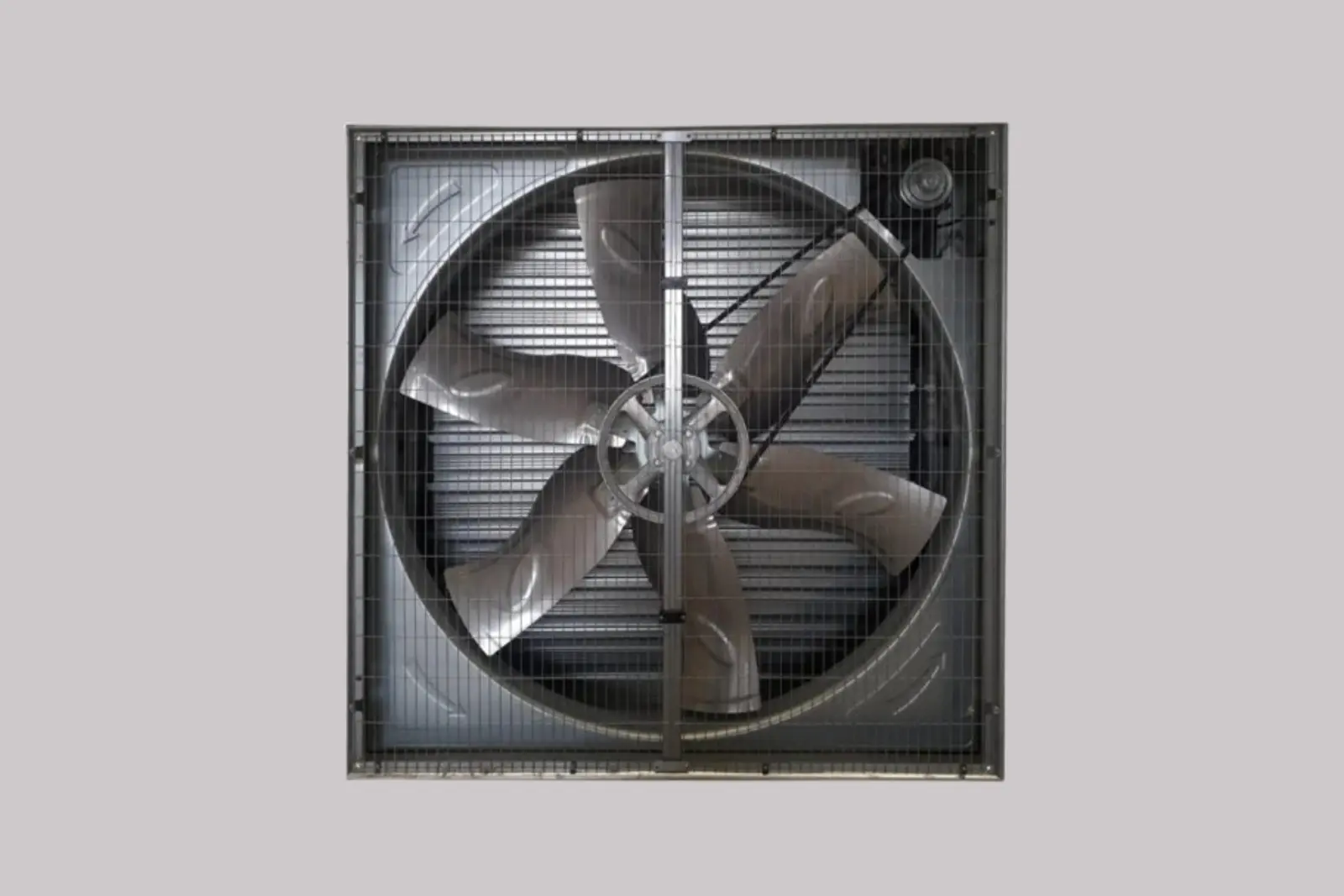 54 inch poultry exhaust fan for ventilation in broiler house by Roots Poultry Industries