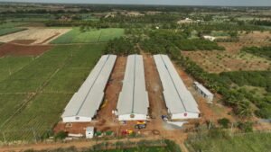 Roots Poultry Equipments Roots Poultry Equipments