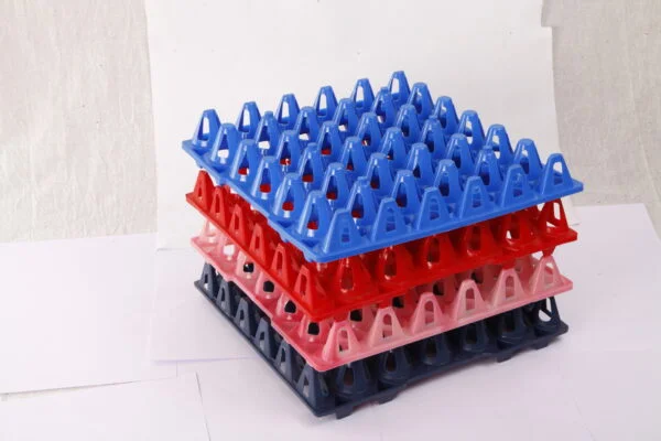 egg tray for poultry egg storage and safe handling solution by Roots Poultry Industries