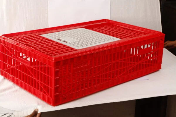 chicken and quail transport boxes for safe poultry transportation by Roots Poultry Industries