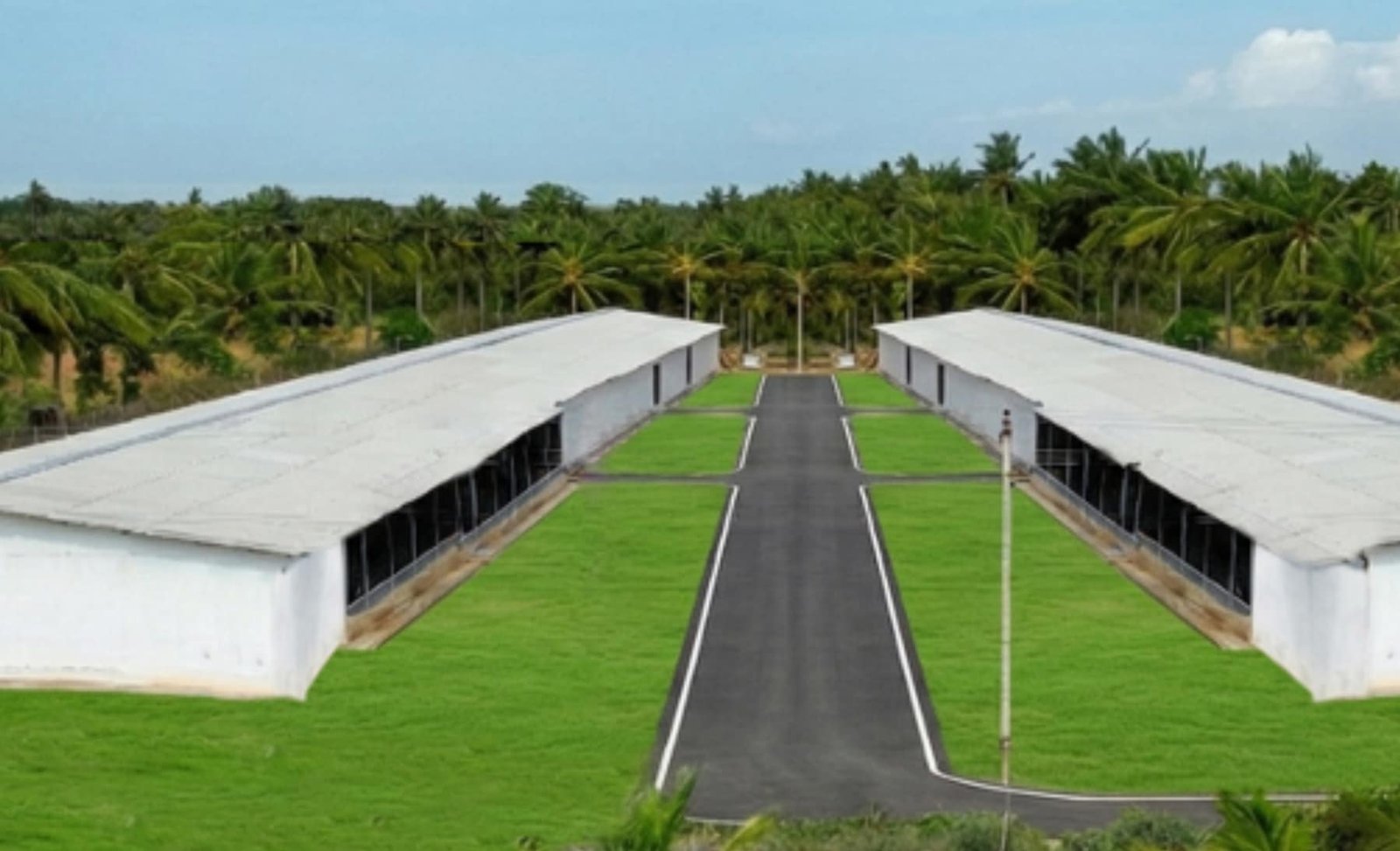 EC Poultry Farm