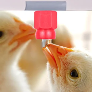 Nipple Drinking Systems